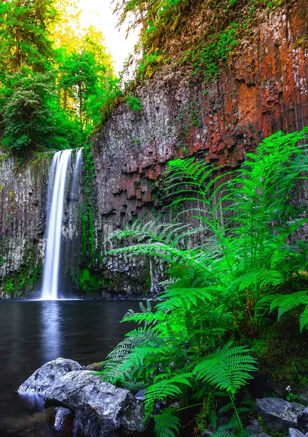 Waterfall Hike