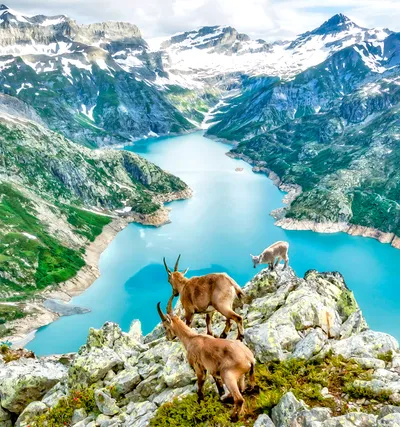 Mountain Hikers