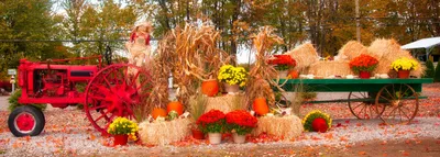Autumnal Harvest Display