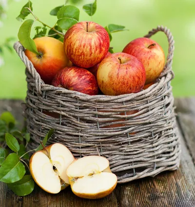 Fresh Apple Bounty