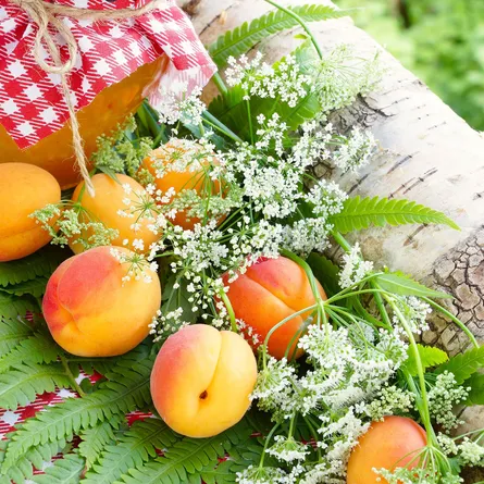 Peaches on platter in front of jar of honey, white cloth, wooden background