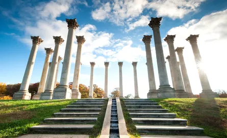 Columns under archway