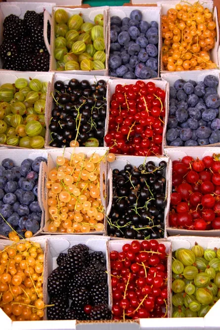 Fruits on display
