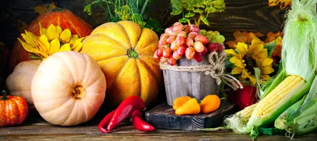 Colorful autumn still life