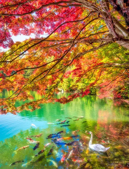 Beautiful autumn scenery