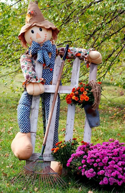 Scarecrow in Garden