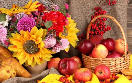 Basket of fruit, sunflower, colorful flowers