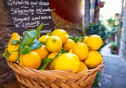 Lemon basket fruit tree