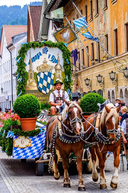 Horse and carriage in street