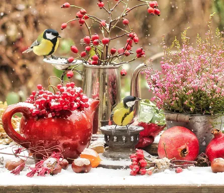 Birds and berries 122 009