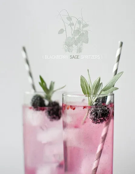 "Raspberry Rose Spitz"
