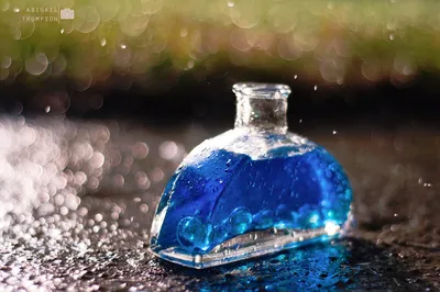 Rainy Bottle on Pavement
