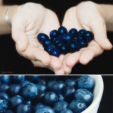 Blueberries in bowl and hand