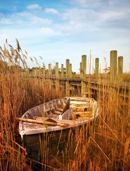 Boat near fence on beach