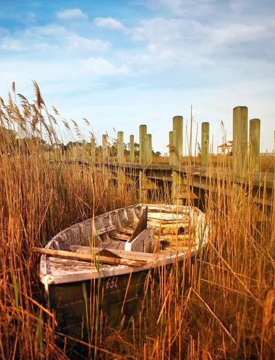 Boat near fence on beach