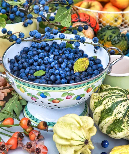 Bowl of sloe 682 076