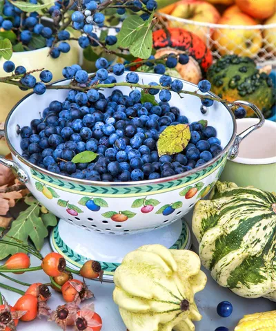 Fruitful Display