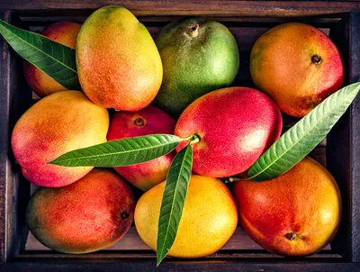 Fruit Basket Display