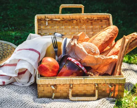 Picnic in the Park