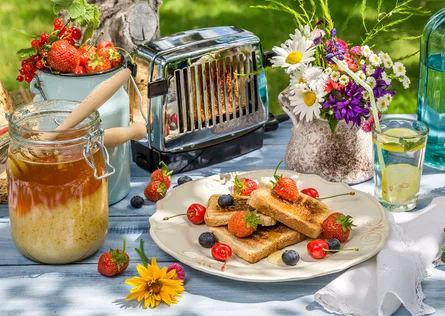Summer Picnic Scene