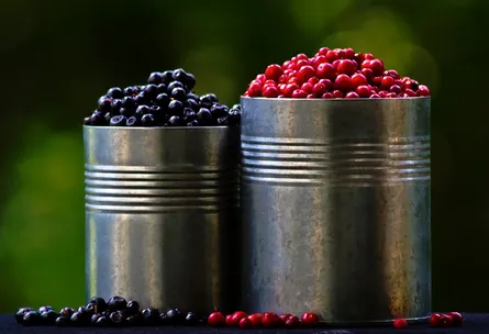 Buckets of berries 682 093
