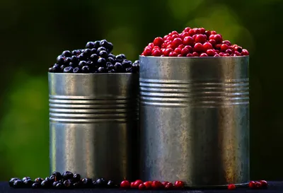 Canned Delights
