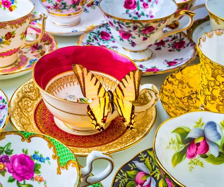 Butterfly tea 122 013