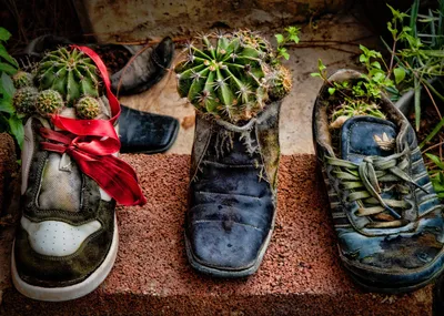 Unconventional Flower Pots