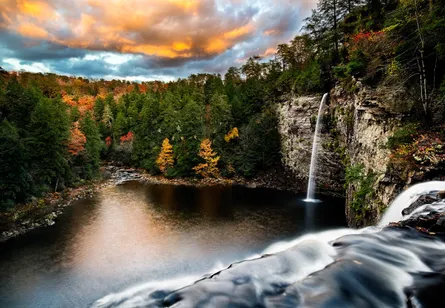 Waterfall and forest