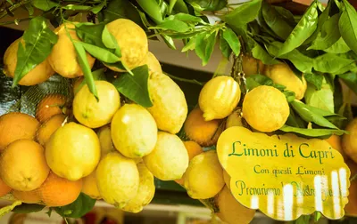 "Bright Citrus Display"