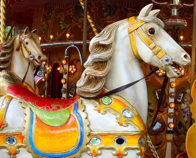 Gold horse in carousel