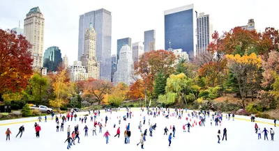 Busy Ice Skating Rink