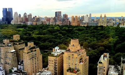 City Skyline View