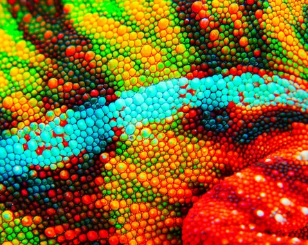 Colorful microscopic beads on fabric
