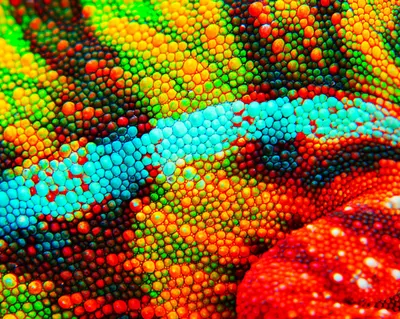 Colorful microscopic beads on fabric