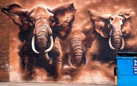 Elephants painted on wall