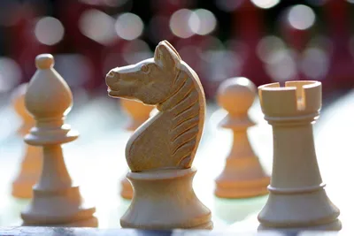 Chess Pieces on Table