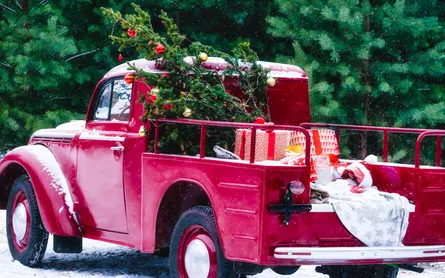 Christmas Truck