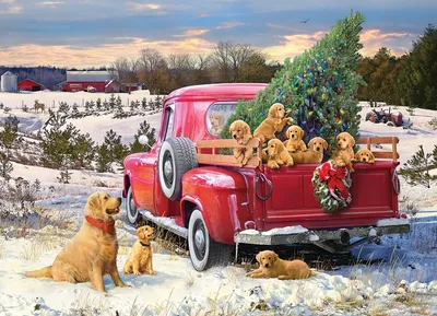 Puppies in festive truck