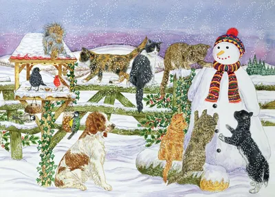 Playful animals in snow