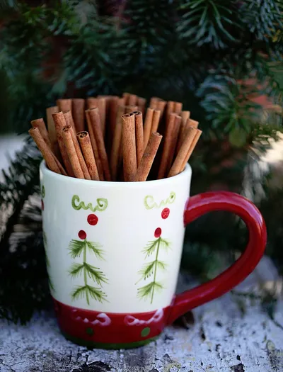 Christmas Cinnamon Sticks Cup
