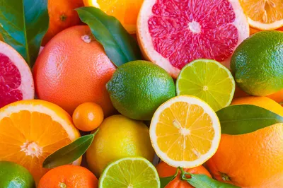 Citrus Medley