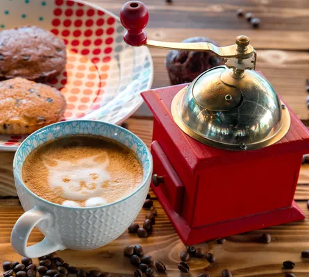 Latte with cat face