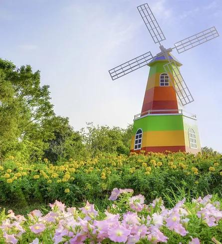 Colorful windmill 75 20