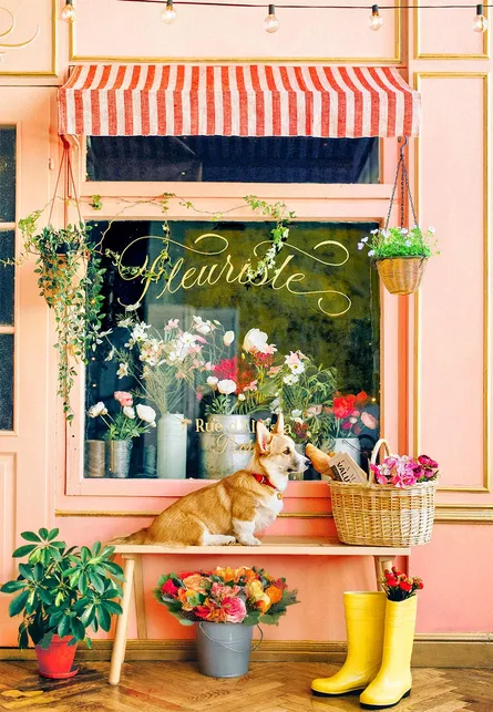 Dog on bench with flowers