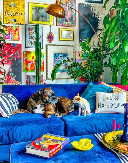 Dogs lounging
