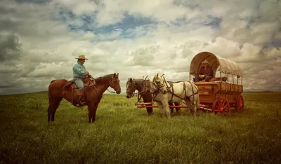 Ranch Voyage