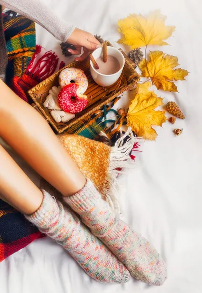Cozy Fall Scene
