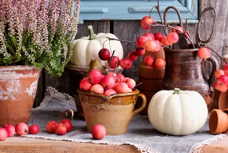 Pumpkins and berries on table