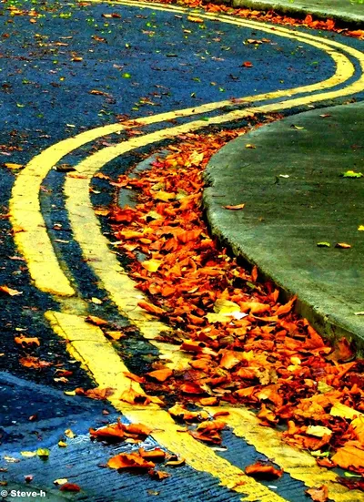 Curved Yellow Path